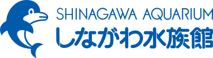 しながわ水族館